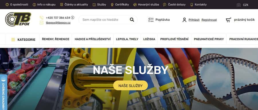 TB Epox deployed website preview